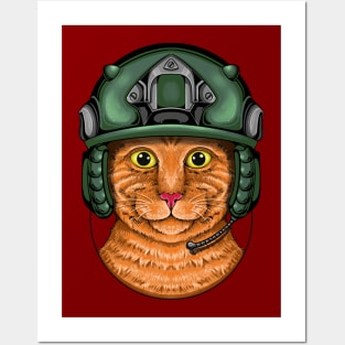 Helmet Cats Posters and Art